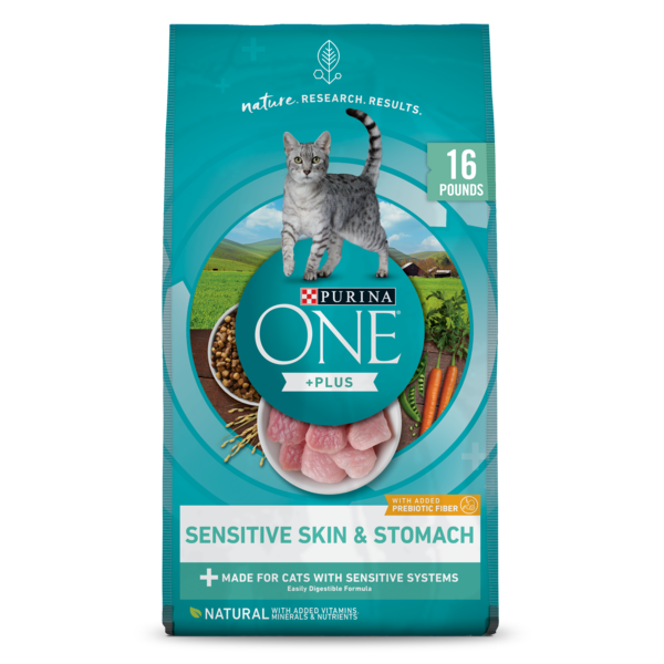 Special Kitty Seafood Flavor Blend Gourmet Dry Cat Food - Image 1