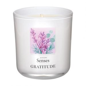Senses Gratitude Lavender & Cedarwood Candle